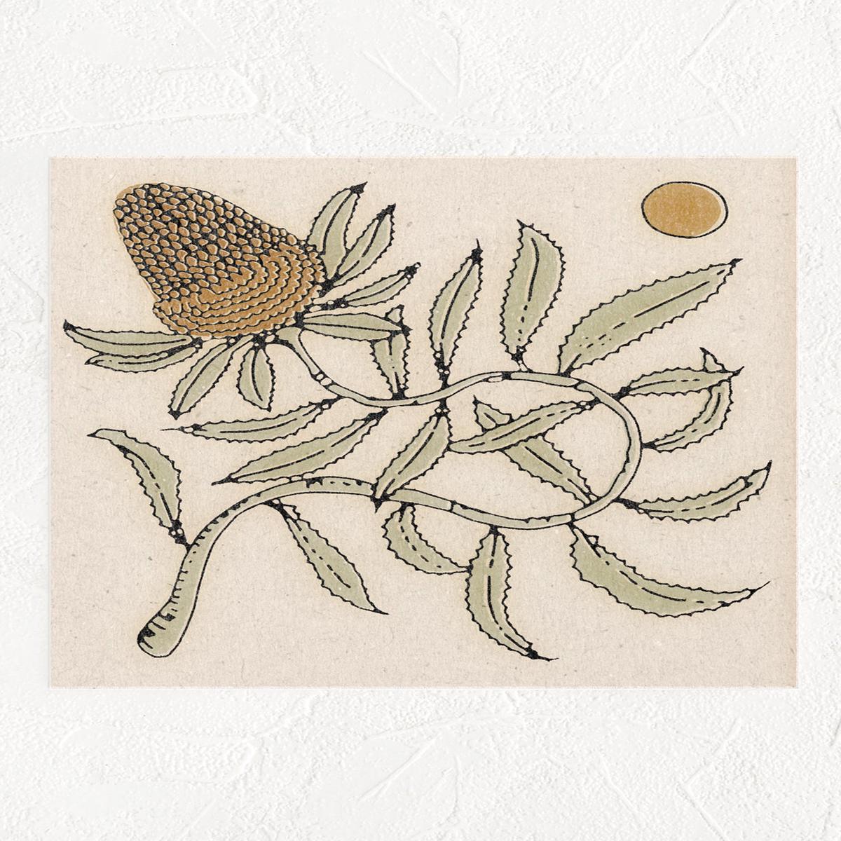 Banksia Print 11X