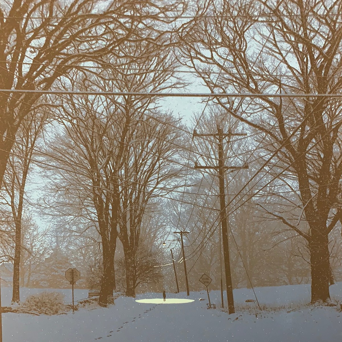 Quiet Snow Filled the Air - 2017 Dan McCarthy poster art print