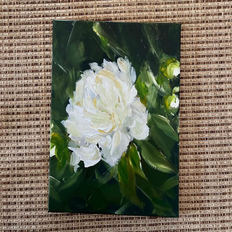 white peony