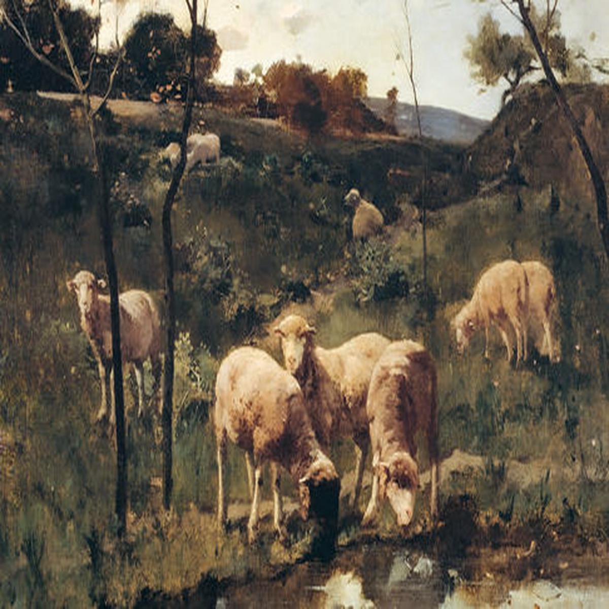 Antique Sheep on Hill Art Print, 20x16 Matted