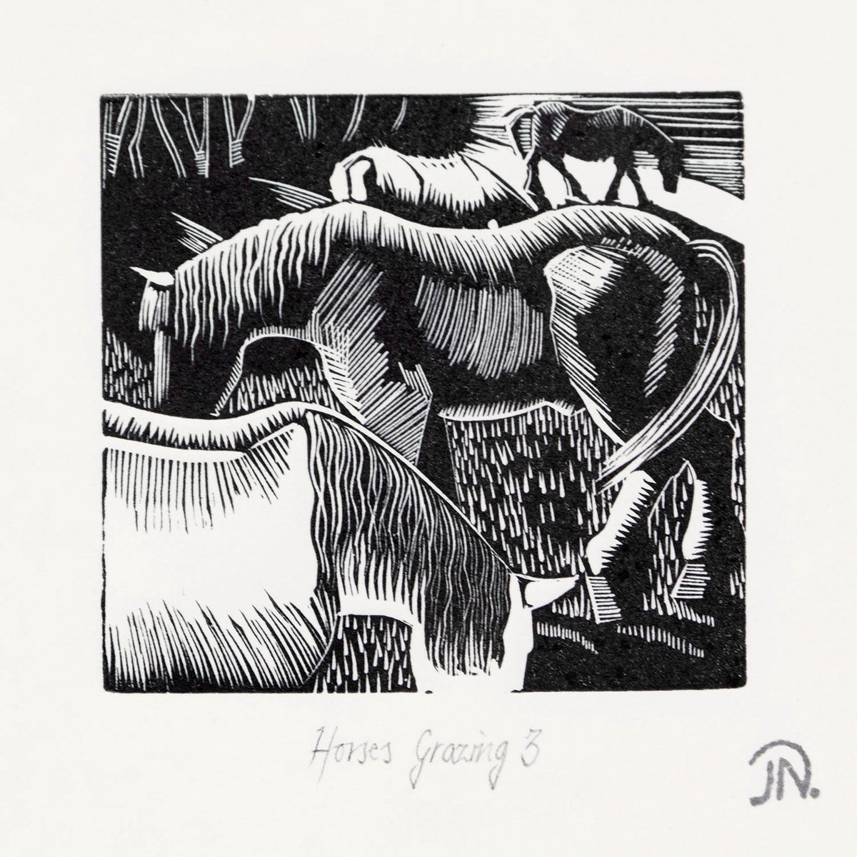 Horses Grazing 3