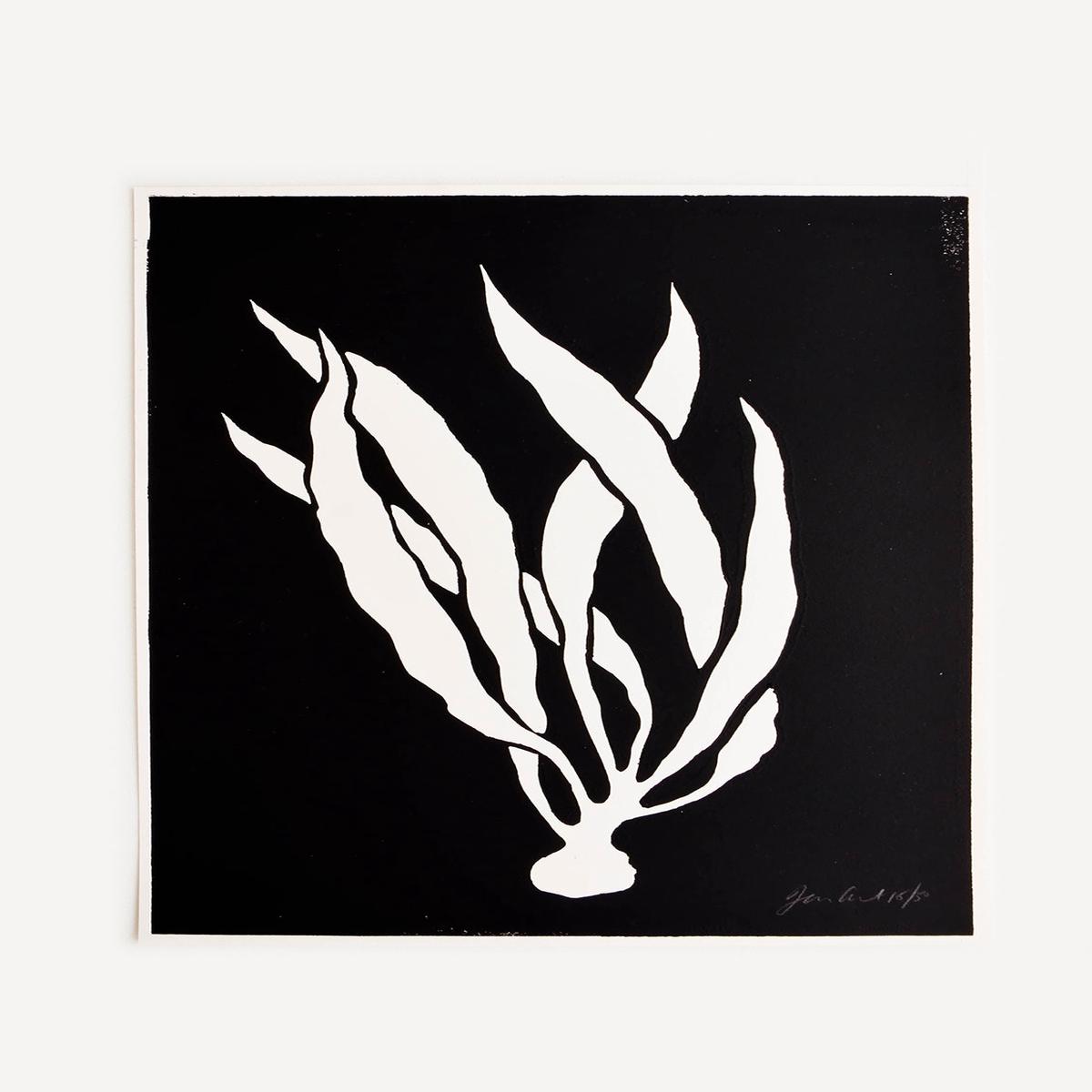 Underwater Plantlife 11 Print 11X