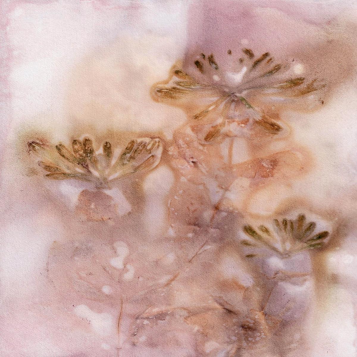 Honeysuckle No. 02 Print