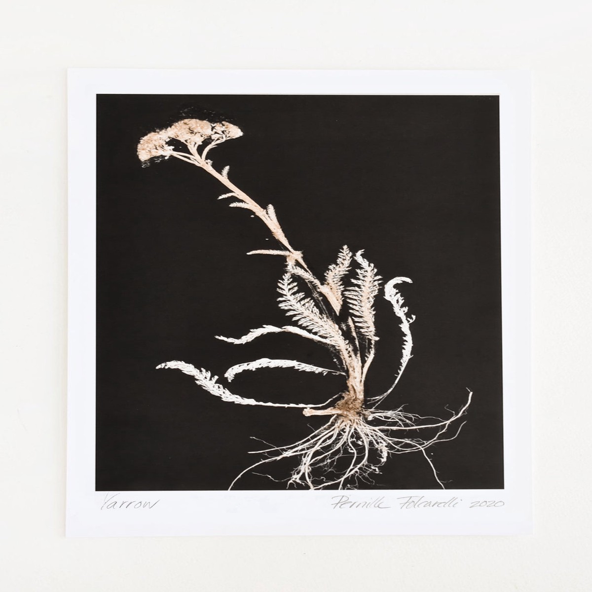 Yarrow in Black Tan Print
