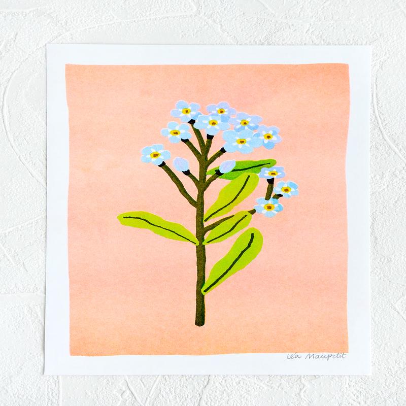 Forget Me Not Print