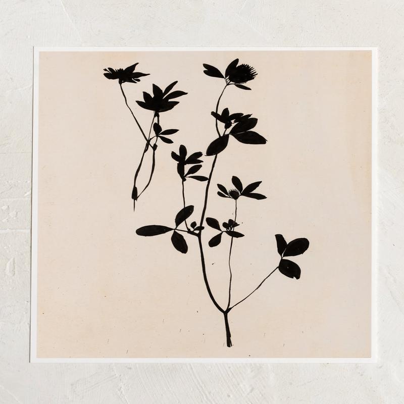 Silhouette De Flora Print