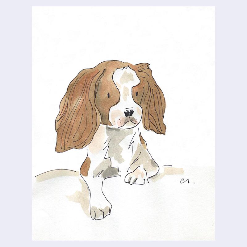 Doggo Show 2025 - Christopher Lyles - "Cute"
