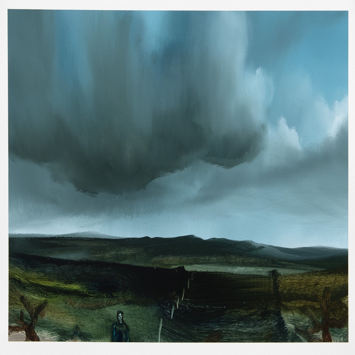 Storm Sanctuary