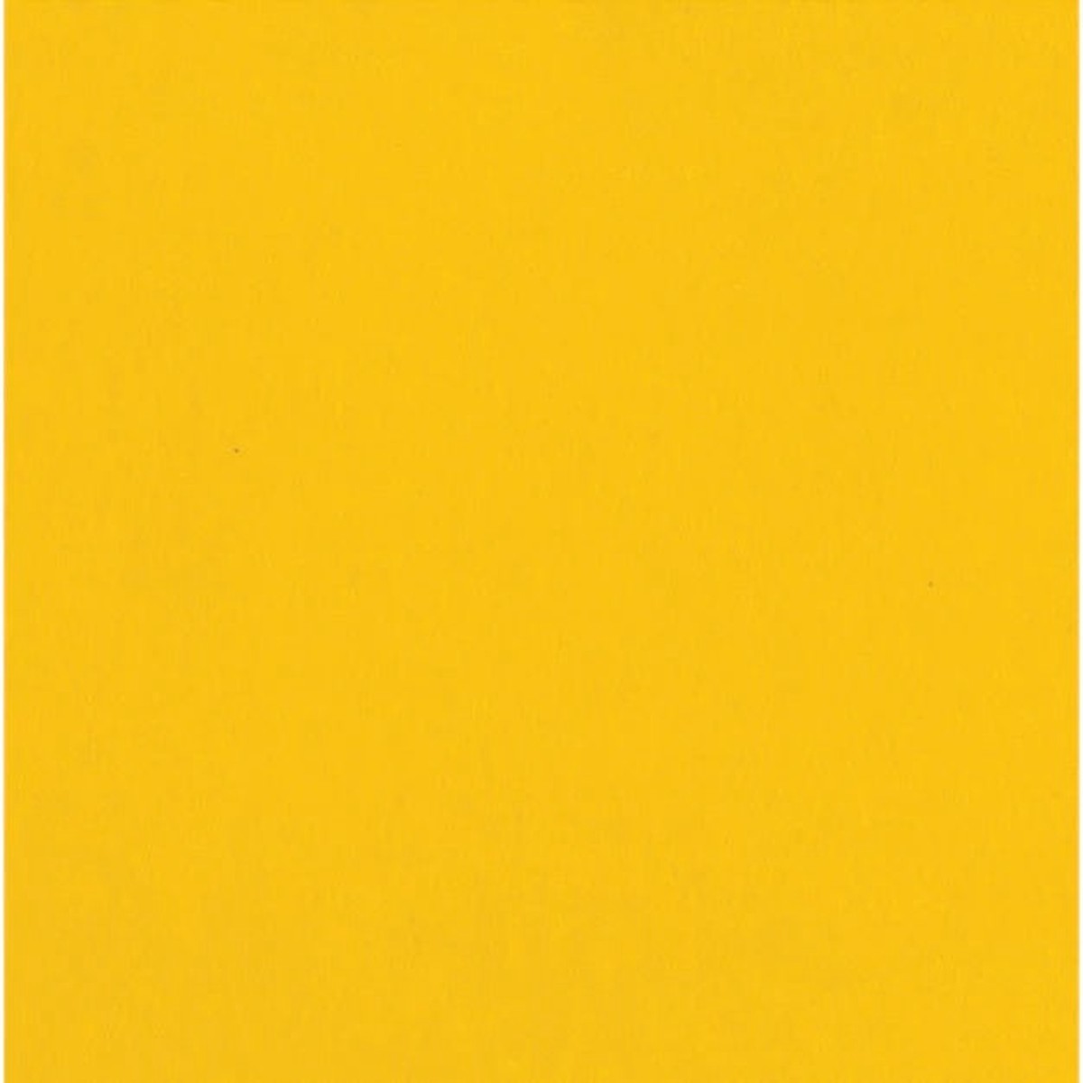 12X12 Pineapple Cardstock