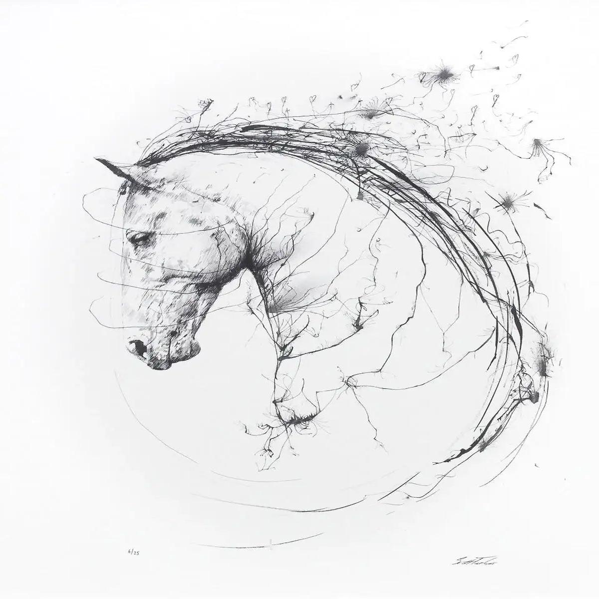 Spirit - Edition